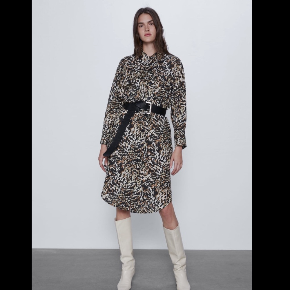 Zar printed  shirt dress